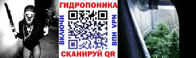 Канабис MAZAR  Купить закладки  Курчалой 